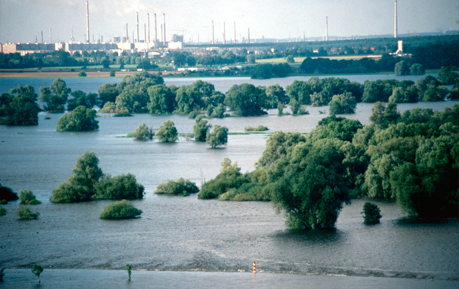 Foto: überflutetes Poldergebiet, im Hintergrund Stadt und PCK