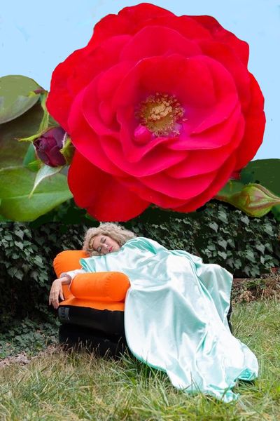 Foto: schlafende Prinzessin und darüber eine riesige rote Rose