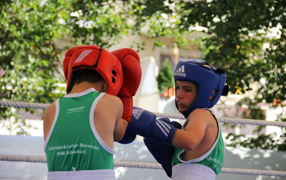 Foto: 2 Boxer im Ring