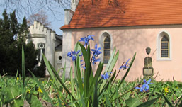 Foto: Frühlingsblüher vor der Criewener Kirche