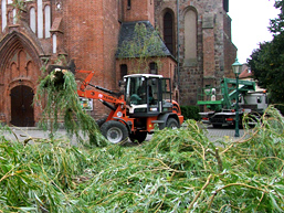 Foto: Weidenzweige vor der Kirche