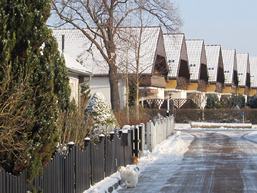 Foto: winterliche Straße mit weißer Katze