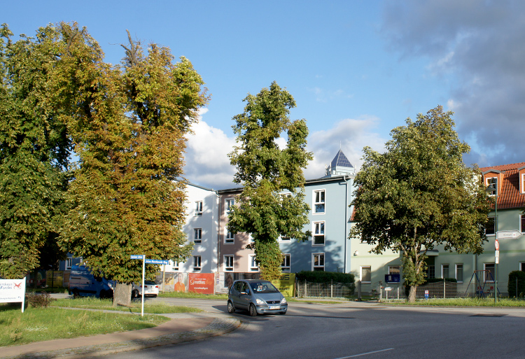 Foto: riesige Kastanien als Straßenbäume