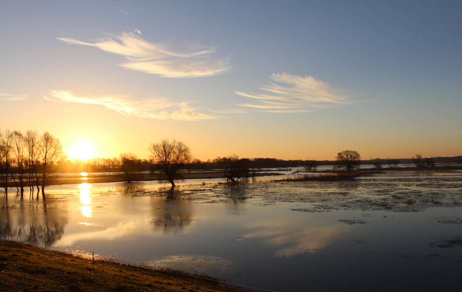 Foto: geflutetete Polder mit aufgehender Sonne