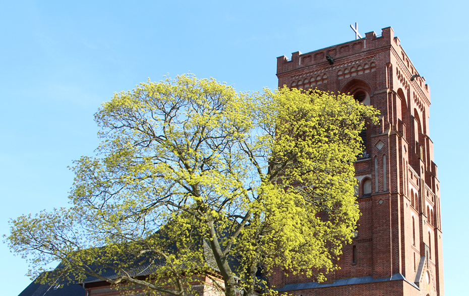 Foto: Turm der evangelsichen Kirche mit grünendem Baum davor