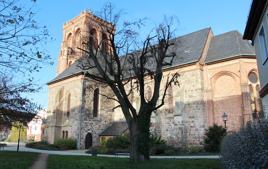 Foto: Baum neben der Kirche