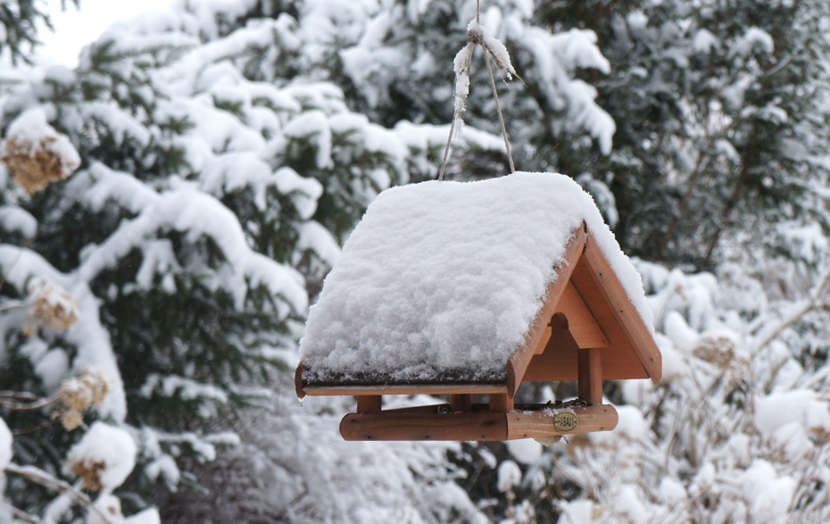 Foto: Vogelhaus mit Schnee