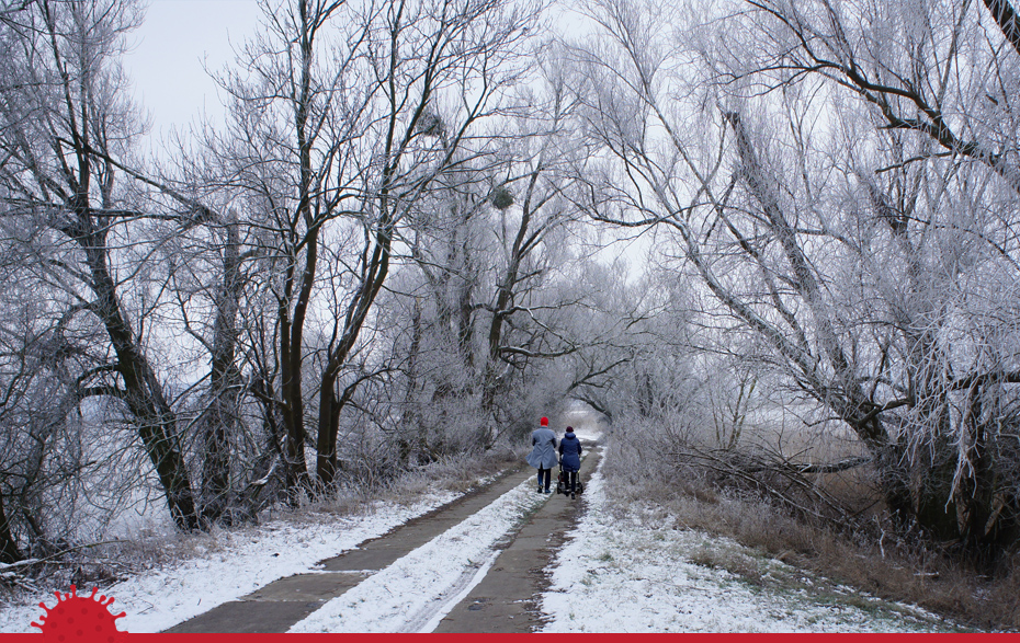 Foto: Winterspaziergang in Familie