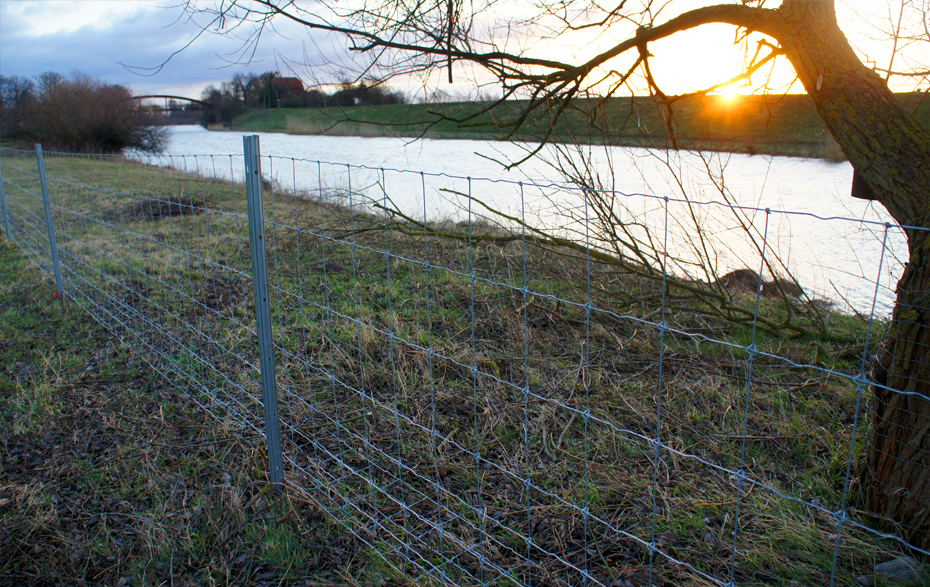 Foto: Zaun in der Nähe der Schöpfwerkbrücke