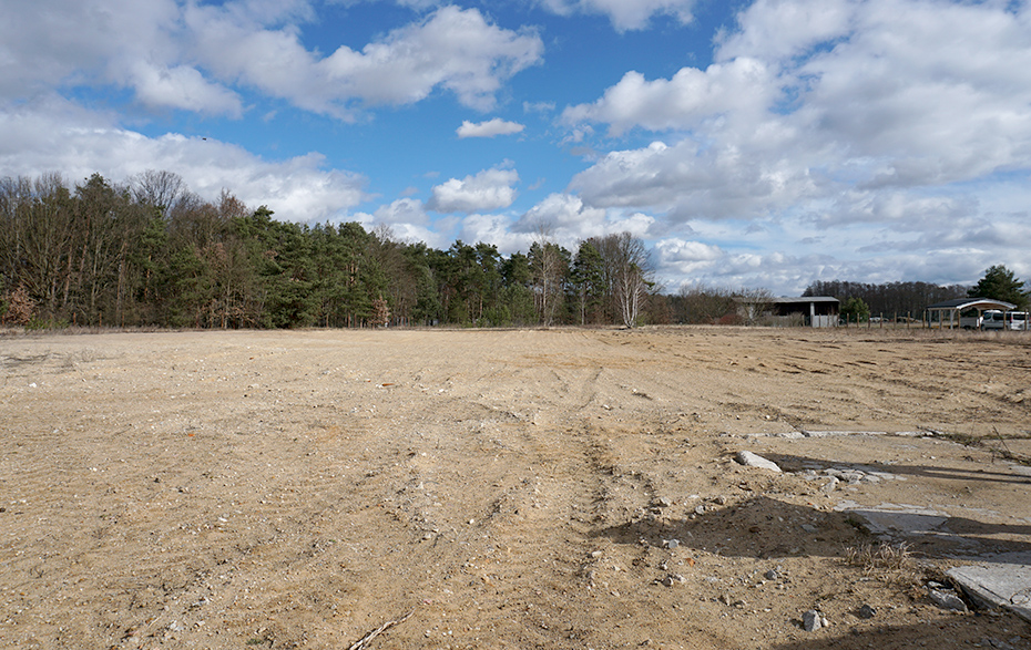 Foto: Sandfläche vor dem Waldstück