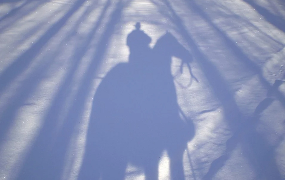Foto: Schatten eines Reiters im Schnee