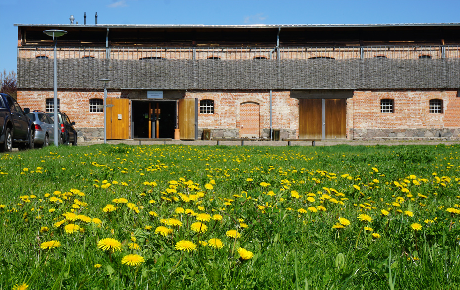 Foto: Nationalparkhaus mit geöffneter Tür, im Vordergrund eine Butterblumenwiese