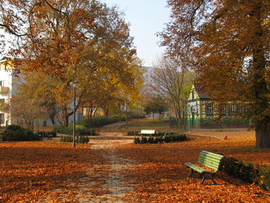 Foto: der herbstliche Park mit reichlich Blättern auf dem Boden