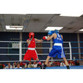 Foto: Zwei Boxer im Ring