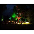 Foto: farbig beleuchtete Bäume und Sträucher