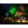Foto: farbig beleuchtete Bäume und besetzte Sitzgruppen