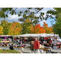 Foto vom 9. Oktober 2012: Marktstände und Bäume in Herbstfarben