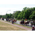 Foto: In einer Reihe fahren die Kutschen durch die Lindenallee.