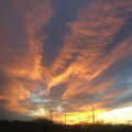 Foto vom 25. November 2012: Windräder am Horizont und ein farbigen Sonnenuntergang