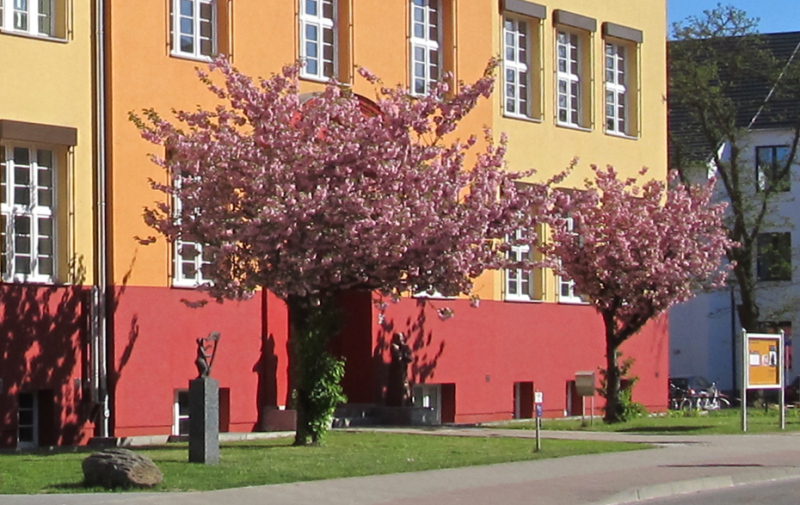 Foto: zwei rosa blühende Bäume vor dem orange- und rot-farbenen Gebäude