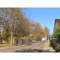 Foto: Blick in die herbstliche Straße