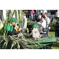 Foto: Juniorranger mit Fernglas