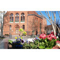 Foto vom 5. April 2020: Frühjahrsblüher im Kübel vor dem Amtsgericht