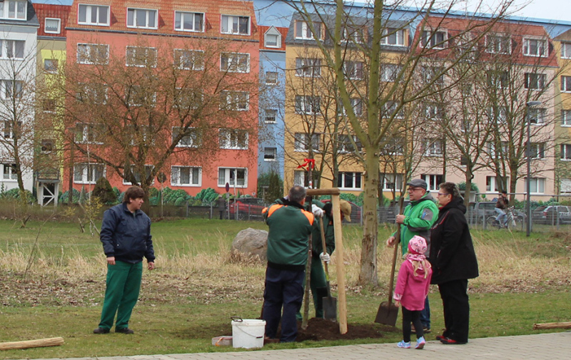 Foto: 7 Personen beim Baumpflanzen