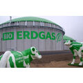 Foto: 2 weiß-grün gescheckte Kuhskulpturen vor einem Anlagenbehälter mit der Aufschrift Bio-Erdgas