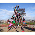 Foto: Kinder hangeln sich an einer Kletterspinne hoch.