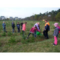 Foto: Schüler begutachten und begießen die gepflanzten Setzlinge