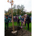 Foto: Bürgermeister und Kinder pflanzen einen Baum