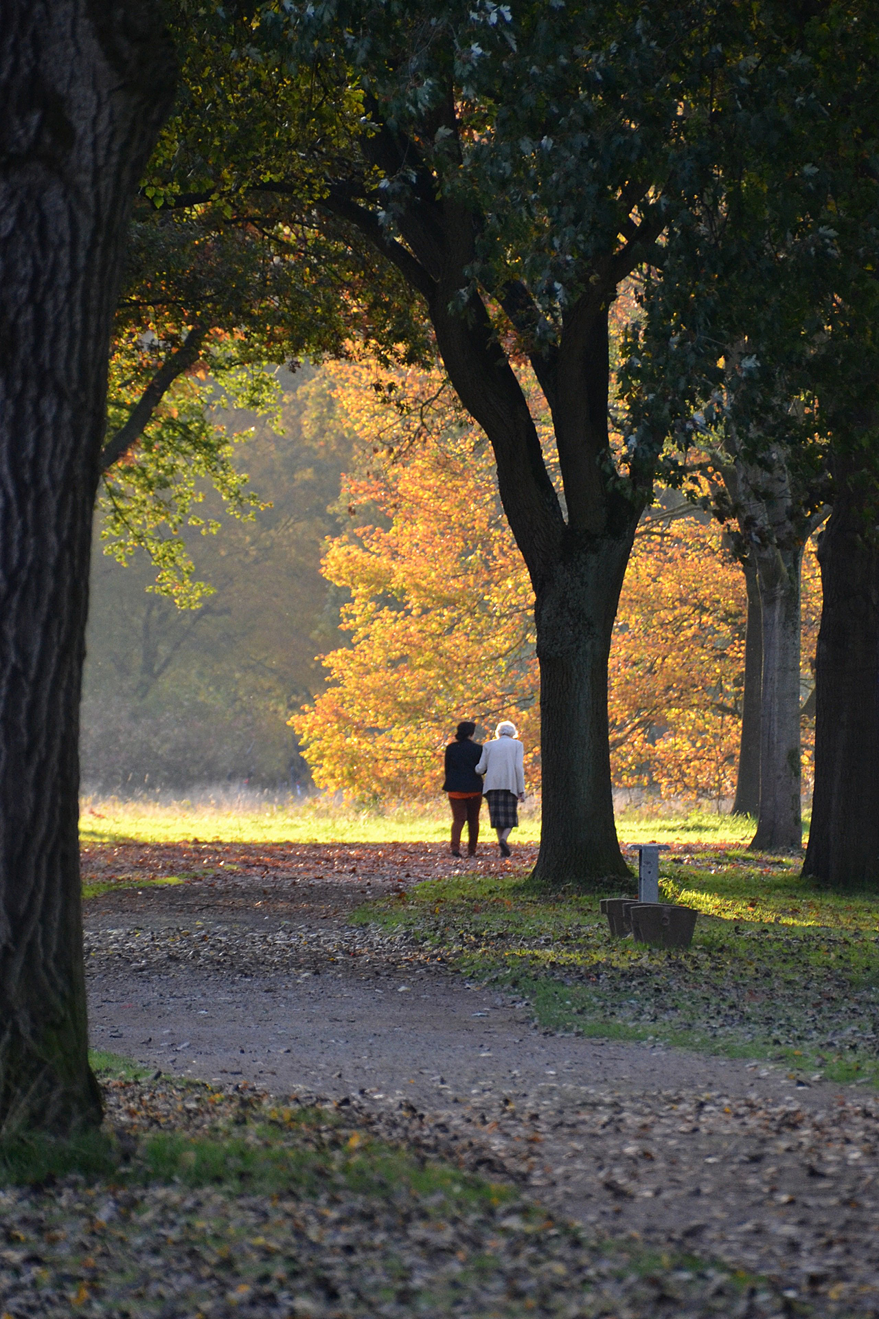 Foto: 2 Spaziergängerinen im herbstlichen Park