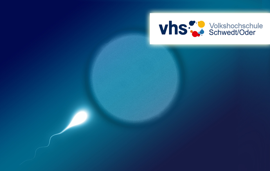 Foto: Eizelle, Sperma und VHS-Logo