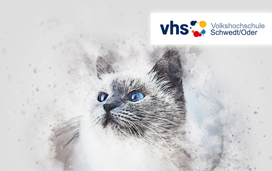 Grafik: Katzenporträt mit VHS-Logo