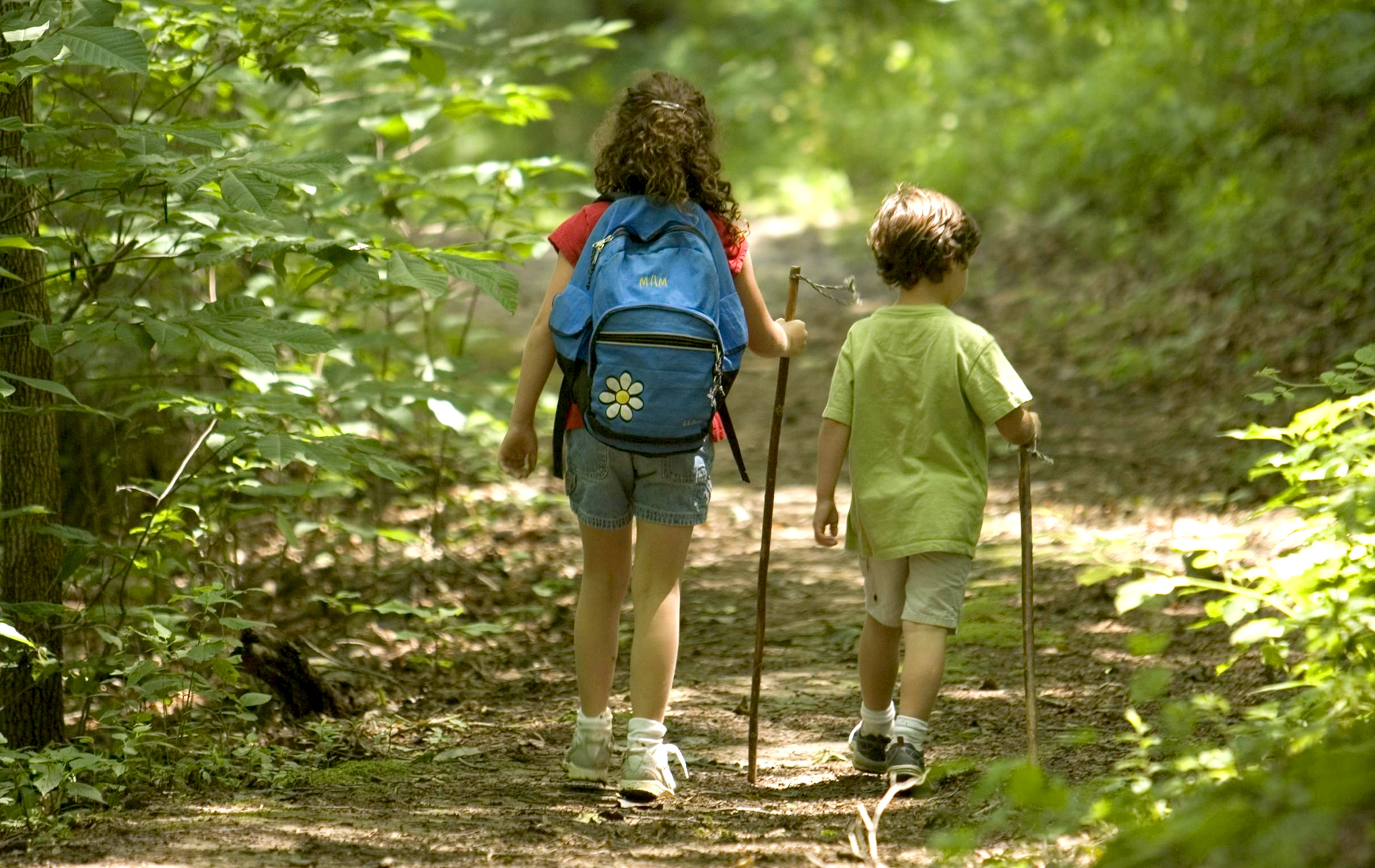 Foto: 2 Kinder wandern auf einem Waldweg