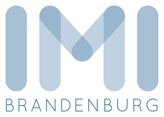 IMI Logo